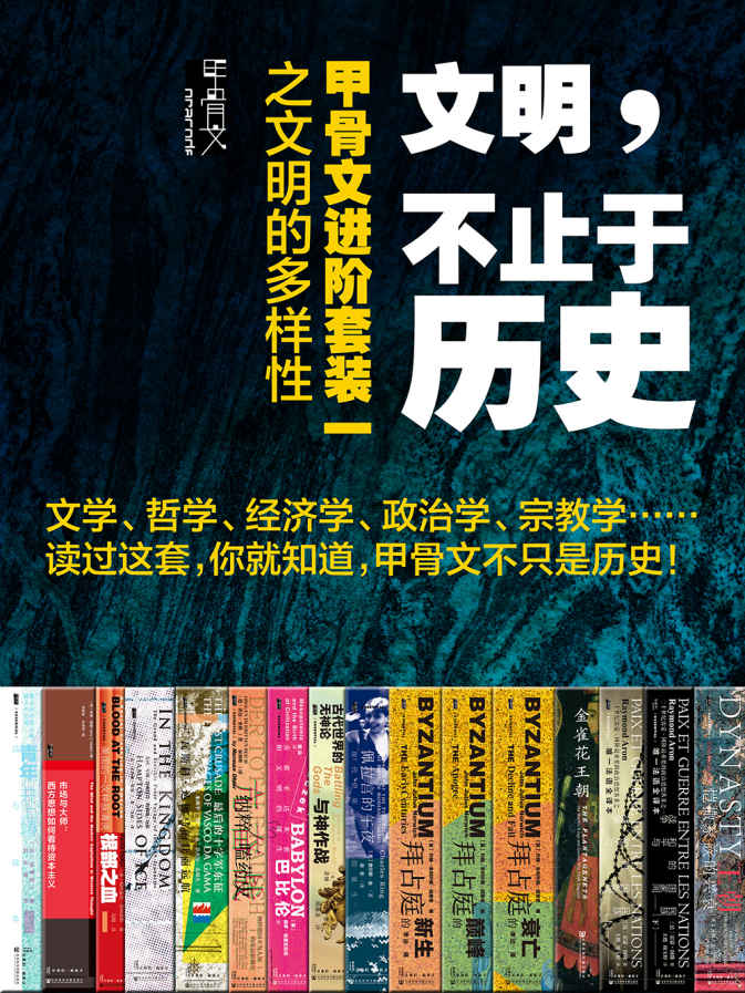 《文明，不止于历史：甲骨文进阶套装一之文明的多样性》全16册 好书必读[epub]-006分享网